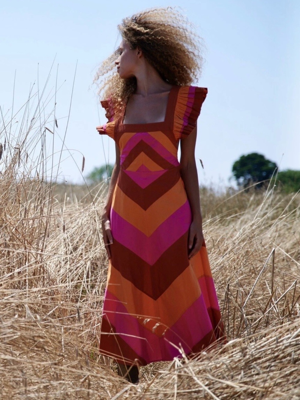 Love the Label Bold Chevron Maxi Dress in Orange and Pink